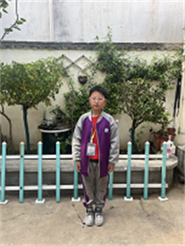 我家的小院