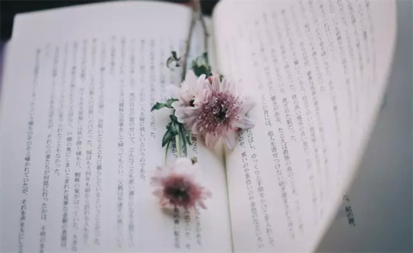 我的书包
