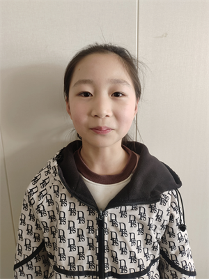 会飞的房子