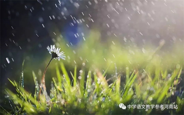 蓝天上的“小精灵 ”