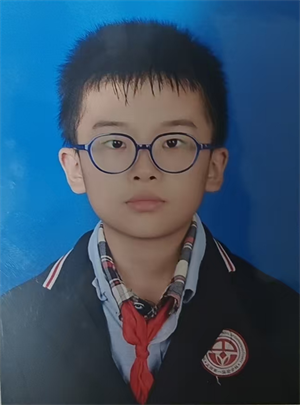 我的动物朋友