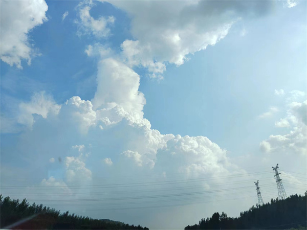 《陪伴我的朋友》