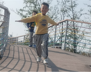 我的动物朋友