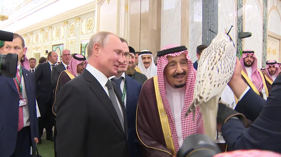 沙特国王观看普京赠送的堪察加猎鹰（图：今日俄罗斯）