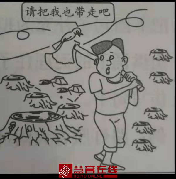 王思哲1