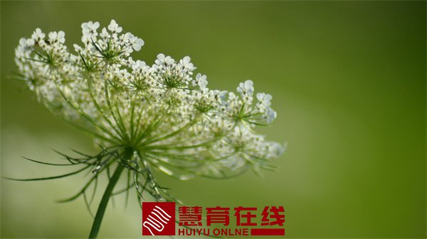 50b46ae1525bcc17f08ede9da0d0f3c2_210Q4115602-1-1200