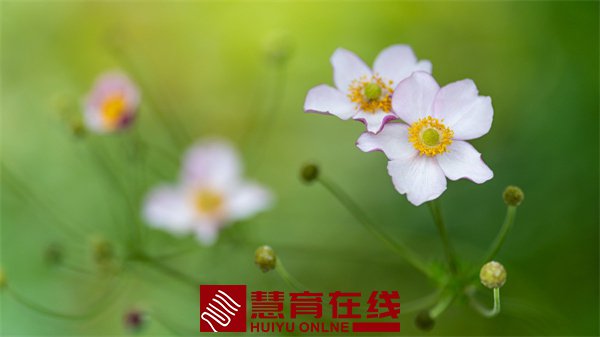 0444268a6a9f6055e0477d52887ad3ac_210QQ04I6-1-1200