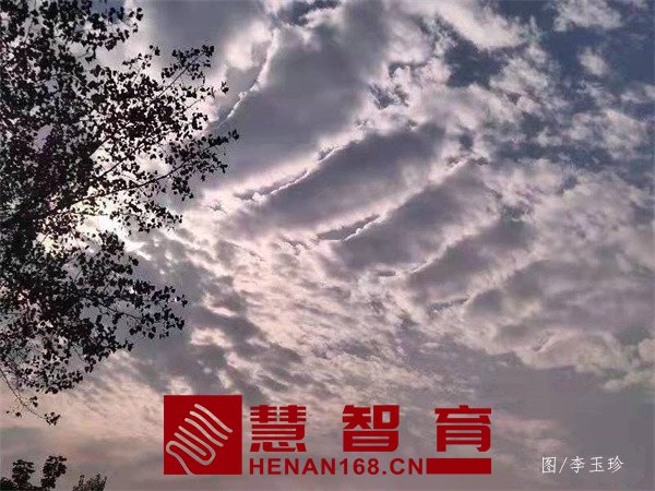 微信图片_20211206100307