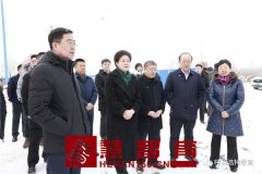 黄雅丽调研呼和浩特市重点教育项目建设情况