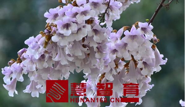 QQ截图20220325204235