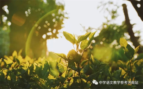 微信图片_20220515121445