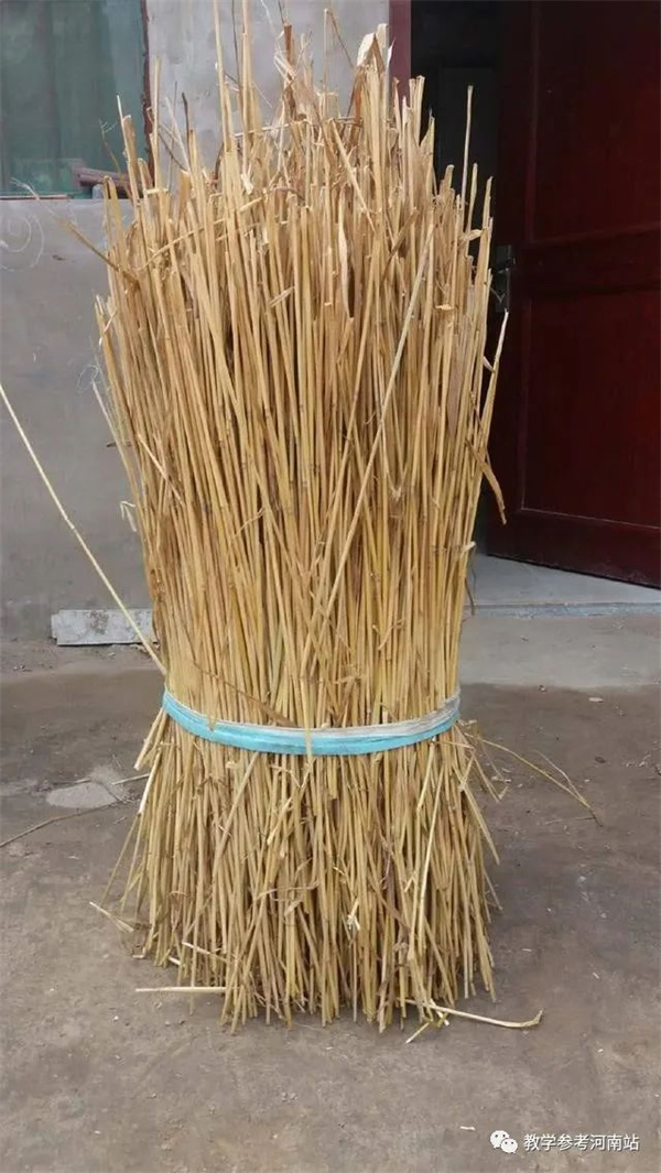 微信图片_20220818095946