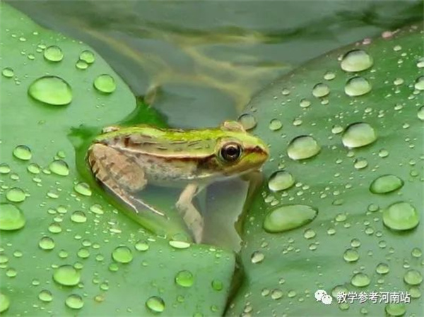 微信图片_20220822172640