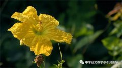 文学作品 | 朱利军：秋，等一朵花开