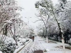 文学作品 | 郑秀丽：团 聚