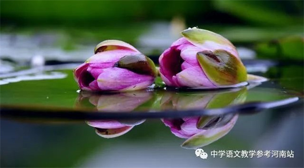 微信图片_20220901162622