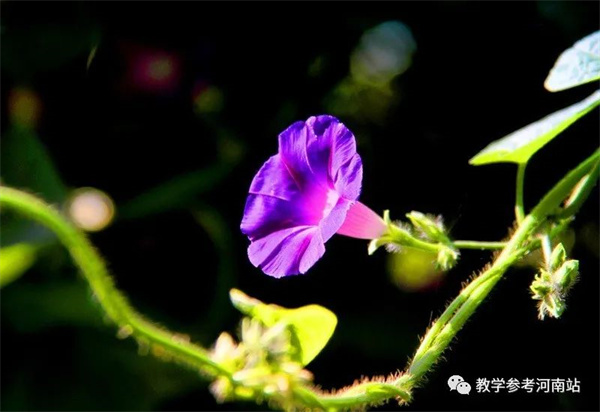 微信图片_20220901164344