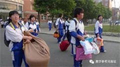 文学作品 | 胡佳安：回忆里的稻香
