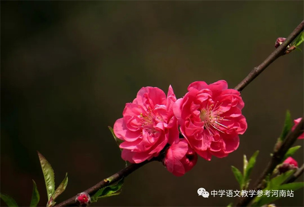 微信图片_20230314094519