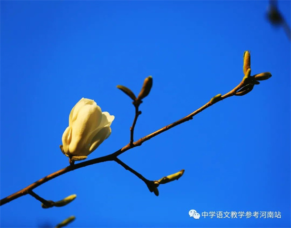 微信图片_20230314094223