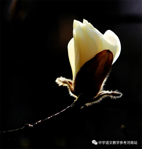 微信图片_20230314094234