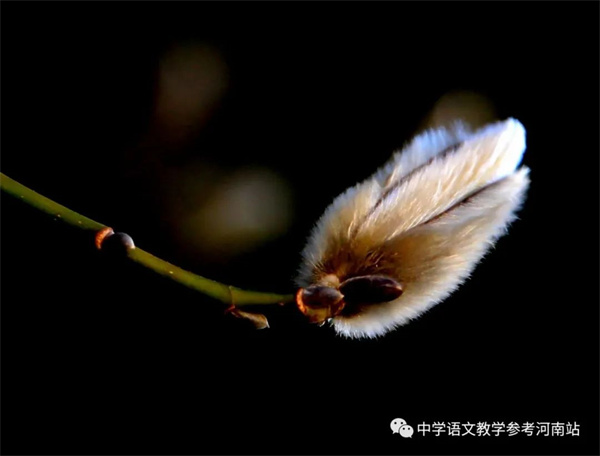 微信图片_20230314094237