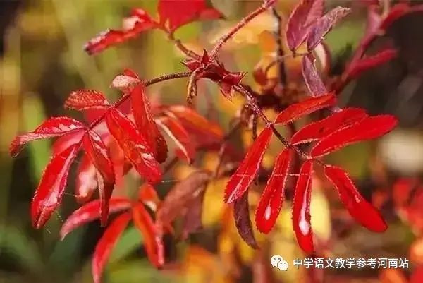 微信图片_20230314094836