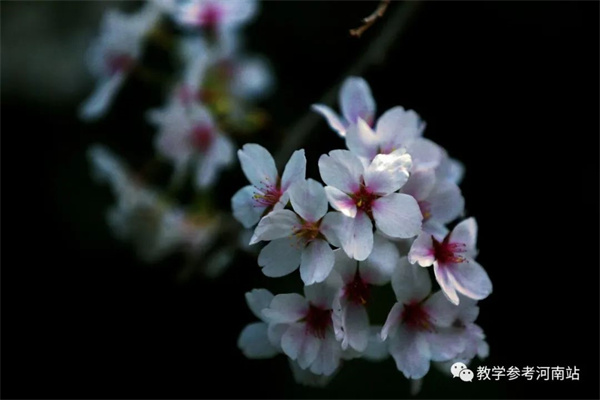 微信图片_20230314090951
