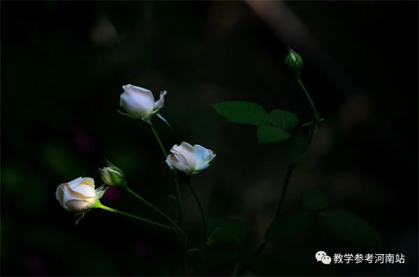 微信图片_20230314090955