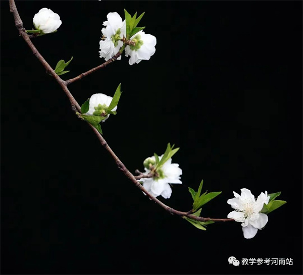 微信图片_20230314091006