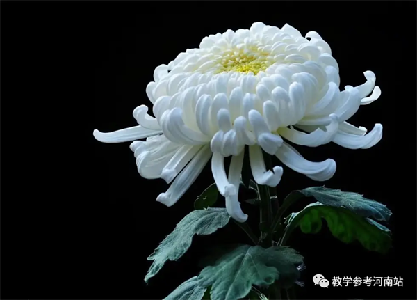 微信图片_20230314091017