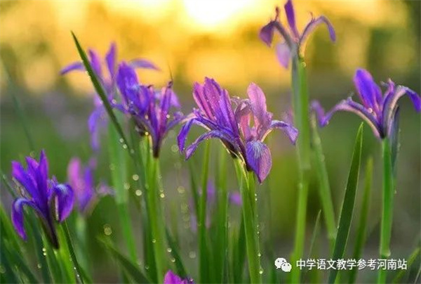 微信图片_20230517175251