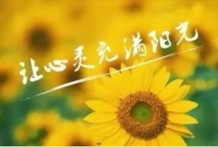 拥抱阳光 润心前行—正阳县第十四小学升旗仪