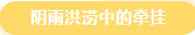 微信截图_20230524100401