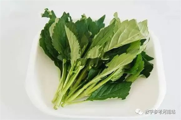 微信图片_20230524101528
