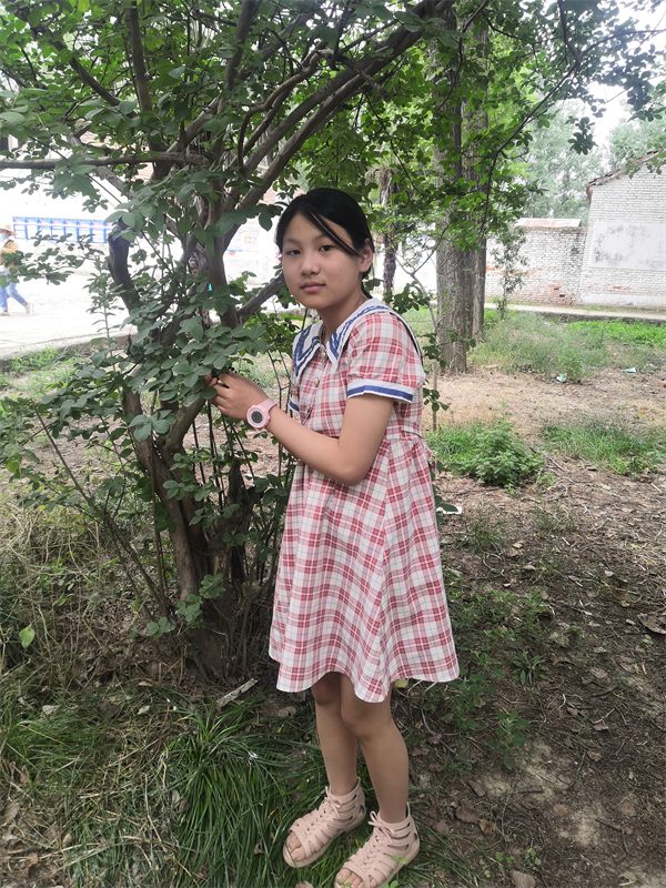 图片1