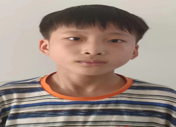 图片1
