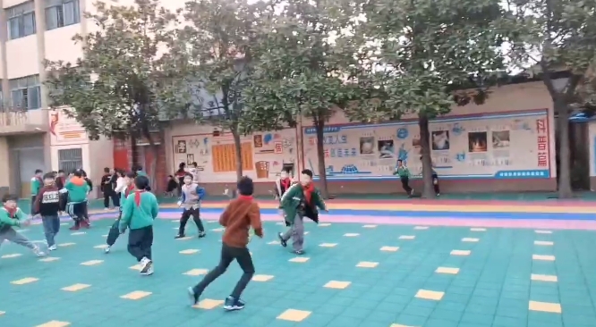 微信截图_20231130105525