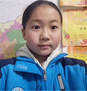 图片1