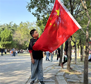 图片1