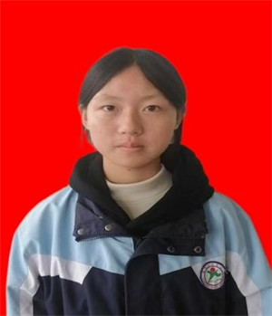 图片1