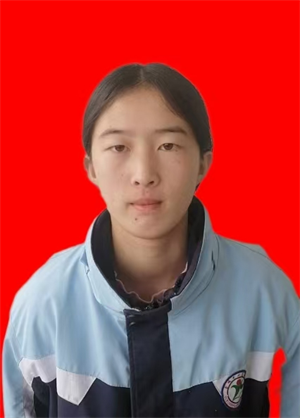 图片1