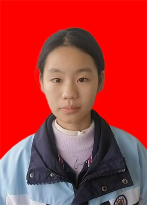 图片1