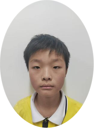 图片1
