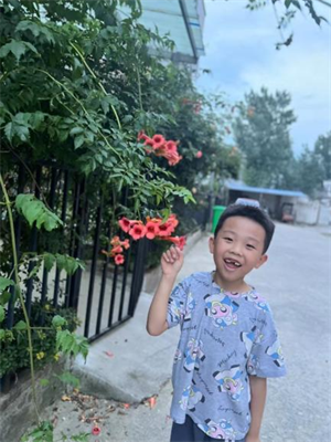 图片1