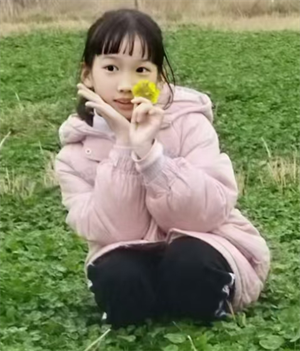 图片1