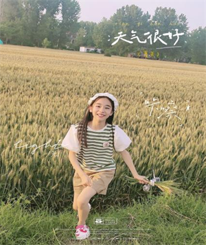 图片1