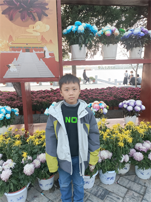 图片31