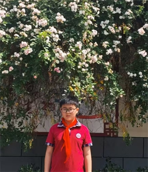 图片37