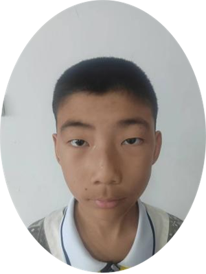 图片1